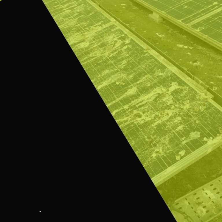 Solar Panel Cleaning for businesses to maximise efficiency.